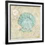 Laguna Shells I-Paul Brent-Framed Art Print