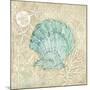 Laguna Shells I-Paul Brent-Mounted Art Print