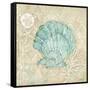 Laguna Shells I-Paul Brent-Framed Stretched Canvas