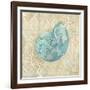 Laguna Shells II-Paul Brent-Framed Art Print