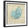 Laguna Shells II-Paul Brent-Framed Art Print