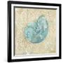 Laguna Shells II-Paul Brent-Framed Art Print