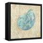 Laguna Shells II-Paul Brent-Framed Stretched Canvas