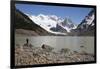 Laguna Torre with view of Cerro Torre and Glaciar Grande, El Chalten, Patagonia, Argentina, South A-Stuart Black-Framed Photographic Print