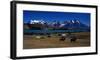 Laguna Verde Torres del Paine-null-Framed Art Print