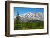 Lahar Area, south side of Mount St. Helens National Volcanic Monument, WA.-Michel Hersen-Framed Photographic Print