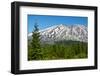 Lahar Area, south side of Mount St. Helens National Volcanic Monument, WA.-Michel Hersen-Framed Photographic Print