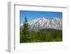 Lahar Area, south side of Mount St. Helens National Volcanic Monument, WA.-Michel Hersen-Framed Photographic Print