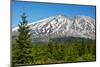 Lahar Area, south side of Mount St. Helens National Volcanic Monument, WA.-Michel Hersen-Mounted Photographic Print