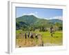 Lahu Tribe People Planting Rice in Rice Paddy Fields, Chiang Rai, Thailand, Southeast Asia, Asia-Matthew Williams-Ellis-Framed Photographic Print