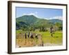 Lahu Tribe People Planting Rice in Rice Paddy Fields, Chiang Rai, Thailand, Southeast Asia, Asia-Matthew Williams-Ellis-Framed Photographic Print