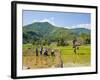 Lahu Tribe People Planting Rice in Rice Paddy Fields, Chiang Rai, Thailand, Southeast Asia, Asia-Matthew Williams-Ellis-Framed Photographic Print