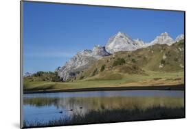 Lai Da Vons, Small Lake in the Alps, Graubunden, Swiss Alps, Switzerland, Europe-Angelo Cavalli-Mounted Photographic Print