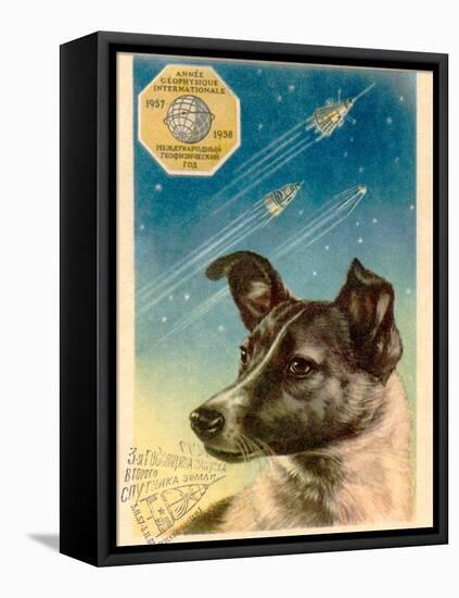 Laika the Space Dog Postcard-Detlev Van Ravenswaay-Framed Stretched Canvas
