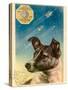 Laika the Space Dog Postcard-Detlev Van Ravenswaay-Stretched Canvas