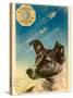 Laika the Space Dog Postcard-Detlev Van Ravenswaay-Stretched Canvas