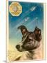 Laika the Space Dog Postcard-Detlev Van Ravenswaay-Mounted Photographic Print