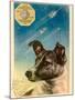 Laika the Space Dog Postcard-Detlev Van Ravenswaay-Mounted Photographic Print