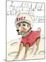 Laika, The Space Dog-Stacy Milrany-Mounted Art Print