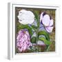 White Frame