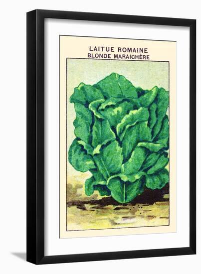 Laitue Romaine Blonde Maraichere-null-Framed Art Print