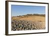 Lajatico-Guido Cozzi-Framed Photographic Print