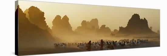 Lake Abbe, on the Border of Djibouti and Ethiopia-Nigel Pavitt-Stretched Canvas