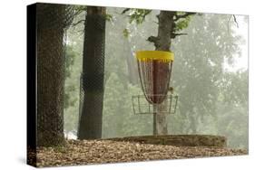 Lake Alimagnet Disc Golf Pole Hole-jrferrermn-Stretched Canvas