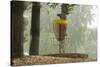 Lake Alimagnet Disc Golf Pole Hole-jrferrermn-Stretched Canvas