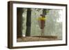 Lake Alimagnet Disc Golf Pole Hole-jrferrermn-Framed Photographic Print