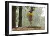 Lake Alimagnet Disc Golf Pole Hole-jrferrermn-Framed Photographic Print