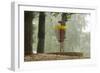 Lake Alimagnet Disc Golf Pole Hole-jrferrermn-Framed Photographic Print