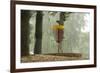 Lake Alimagnet Disc Golf Pole Hole-jrferrermn-Framed Photographic Print