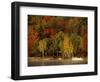 Lake and Boat with Fall Forest in Early Morning, New Hampshire, USA-Charles Sleicher-Framed Photographic Print