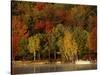 Lake and Boat with Fall Forest in Early Morning, New Hampshire, USA-Charles Sleicher-Stretched Canvas