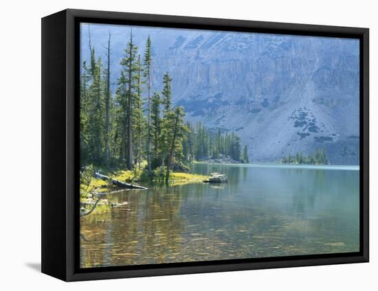 Lake and Conifers Below Cliffs, Brown Duck Mountain, High Uintas Wilderness, Ashley National Forest-Scott T^ Smith-Framed Stretched Canvas
