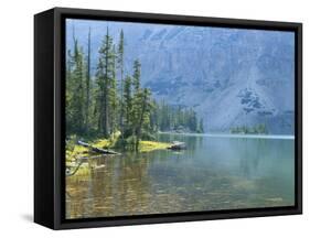Lake and Conifers Below Cliffs, Brown Duck Mountain, High Uintas Wilderness, Ashley National Forest-Scott T^ Smith-Framed Stretched Canvas