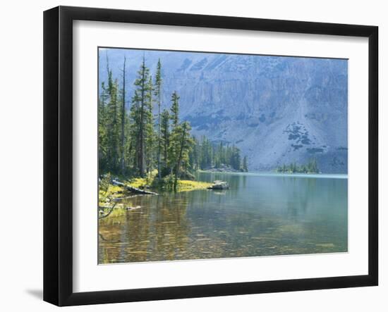 Lake and Conifers Below Cliffs, Brown Duck Mountain, High Uintas Wilderness, Ashley National Forest-Scott T^ Smith-Framed Photographic Print