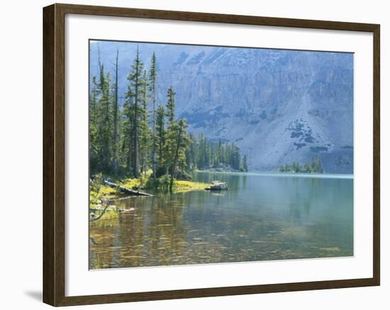 Lake and Conifers Below Cliffs, Brown Duck Mountain, High Uintas Wilderness, Ashley National Forest-Scott T^ Smith-Framed Photographic Print