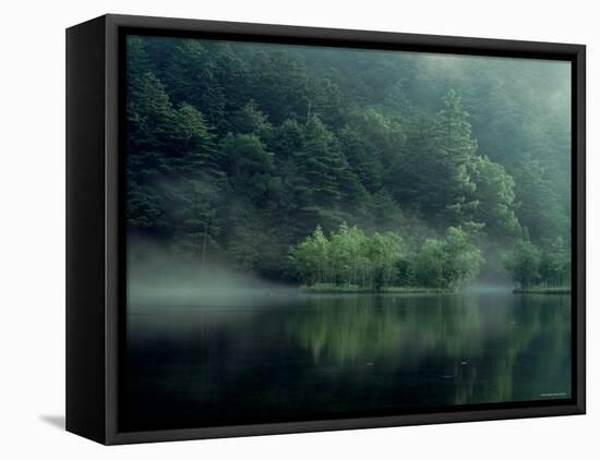 Lake and Forest-null-Framed Stretched Canvas