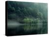 Lake and Forest-null-Stretched Canvas