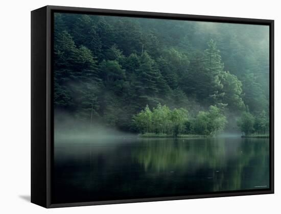 Lake and Forest-null-Framed Stretched Canvas