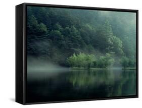 Lake and Forest-null-Framed Stretched Canvas