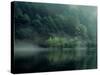 Lake and Forest-null-Stretched Canvas