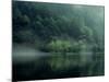 Lake and Forest-null-Mounted Photographic Print