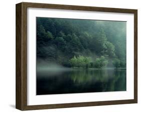 Lake and Forest-null-Framed Photographic Print