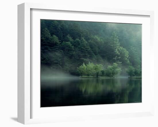 Lake and Forest-null-Framed Photographic Print