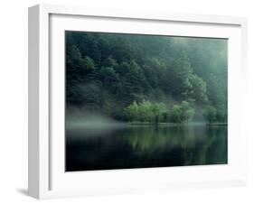 Lake and Forest-null-Framed Photographic Print