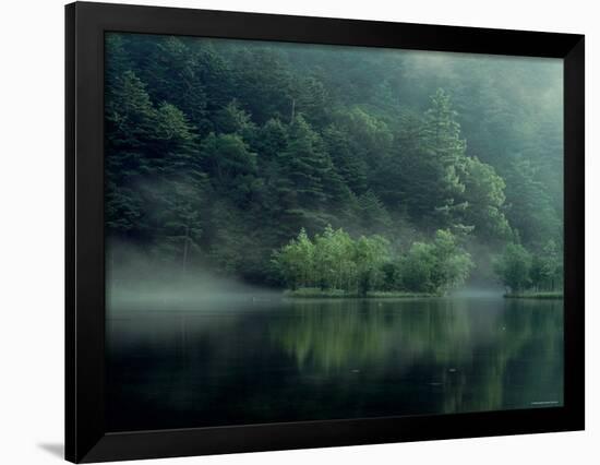 Lake and Forest-null-Framed Photographic Print