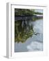 Lake and Lily Pads-Rusty Frentner-Framed Giclee Print